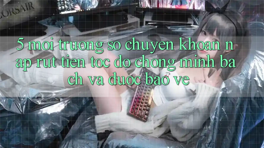 5. Môi trường số chuyển khoản nạp - rút tiền: Tốc độ chóng, minh bạch và được bảo vệ