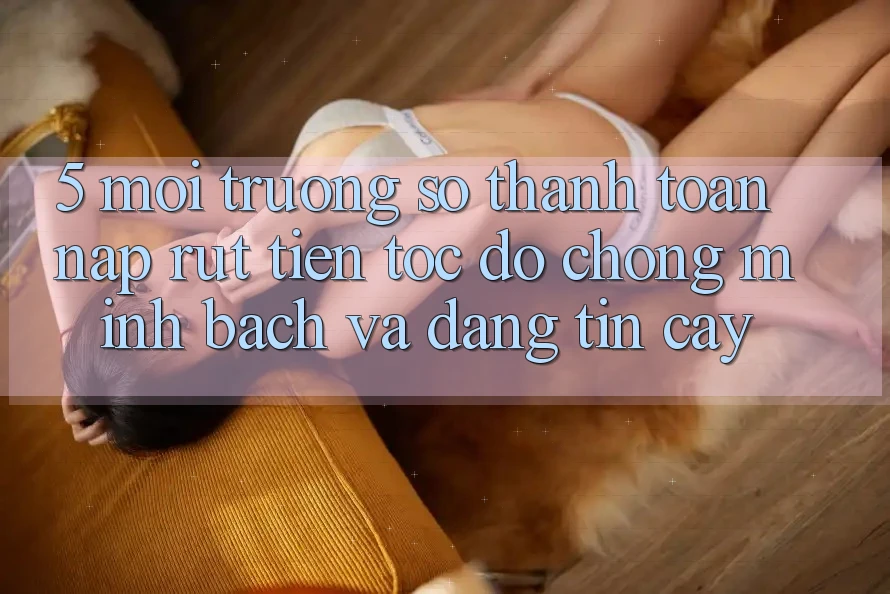5. Môi trường số thanh toán nạp - rút tiền: Tốc độ chóng, minh bạch và đáng tin cậy