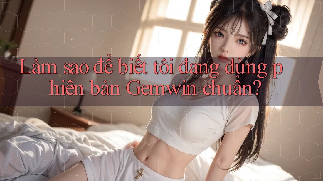 Làm sao để biết tôi đang dùng phiên bản Gemwin chuẩn?
