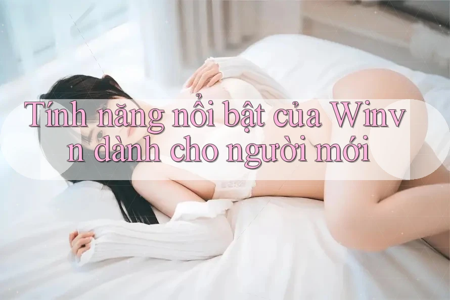 Tính năng nổi bật của Winvn dành cho người mới Tính năng nổi bật của Winvn dành cho người mới